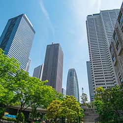 新宿のオフィス街